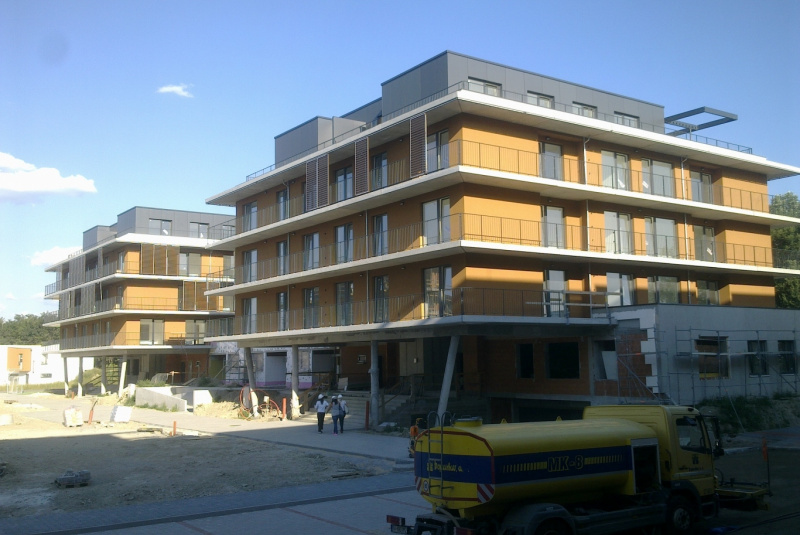 BD - Slnečnice